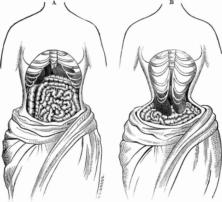 what happens when waist training Me and My Waist