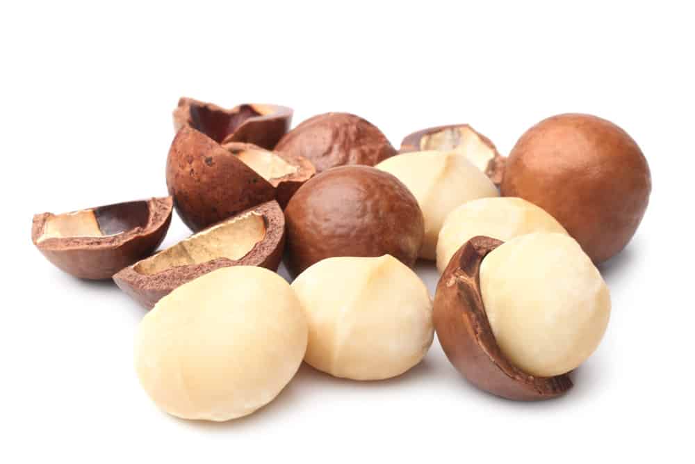 Macadamia nuts on white background.