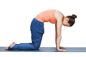 Beautiful sporty fit yogini woman practices yoga asana marjariasana - cat pose gentle warm up for spine (also called cat-cow pose) in studio isolated on white.