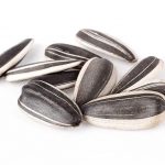 Sunflower seeds isolated white background.