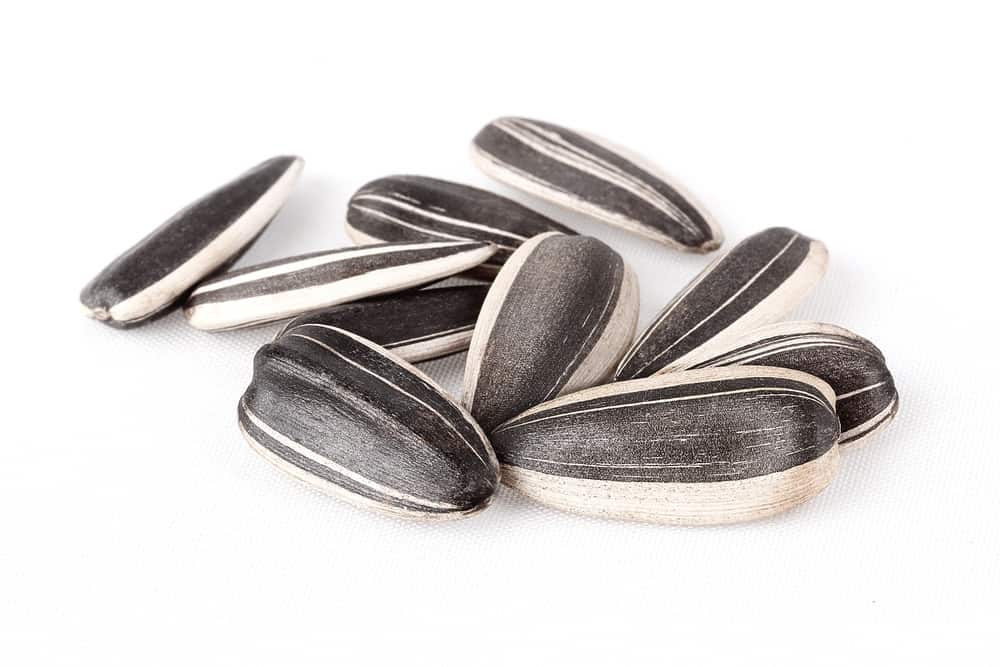 Sunflower seeds isolated white background.