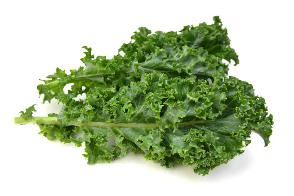 Kale leafs on white background.