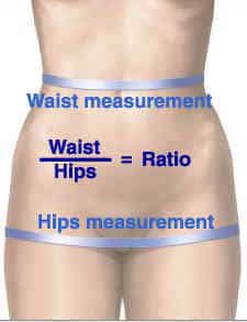 Waist hip ratio measurement
