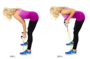 Resistance Band Bent over Row exercise