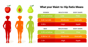 Waist to hip ratio chart