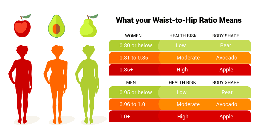 Hip To Waist Ratio Chart